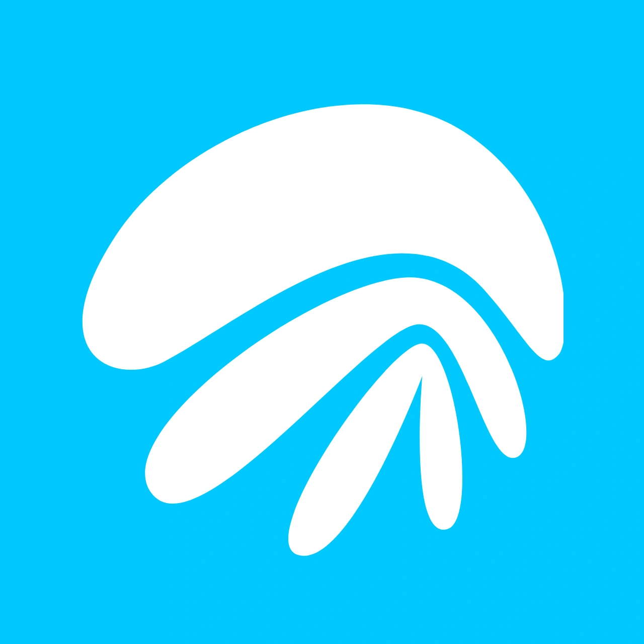 airjelly