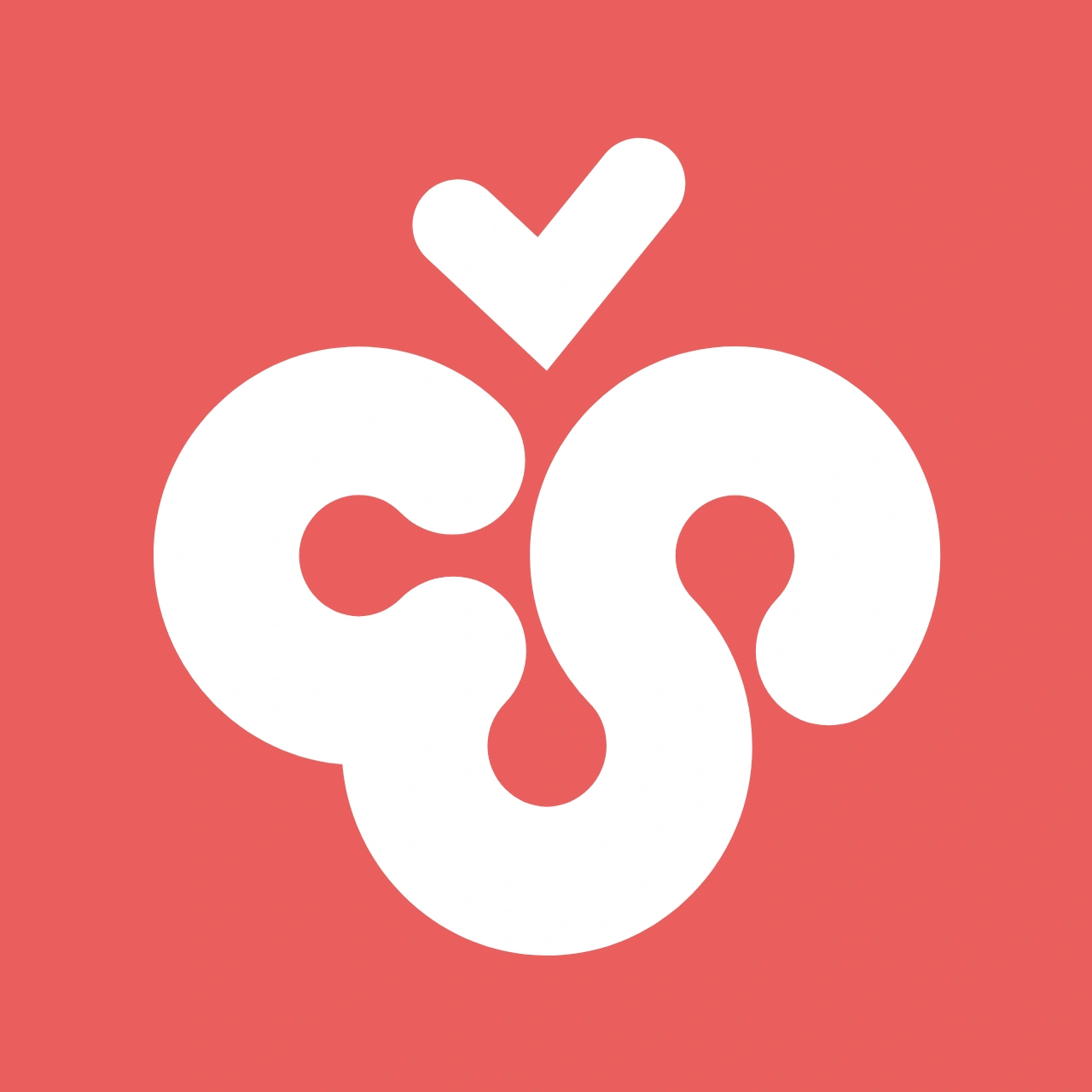 cherrystudio